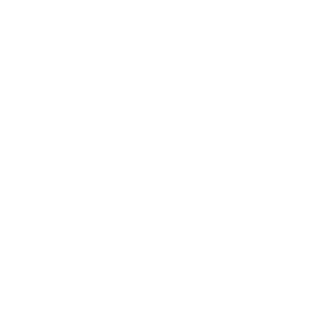Cicis steigert seine organischen Suchanfragen